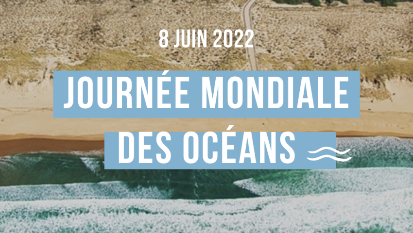 JOURNÉE MONDIALE DES OCÉANS  - MERCREDI 8 JUIN 2022 / Surfrider Gironde invite le Parc naturel marin du Bassin d'Arcachon